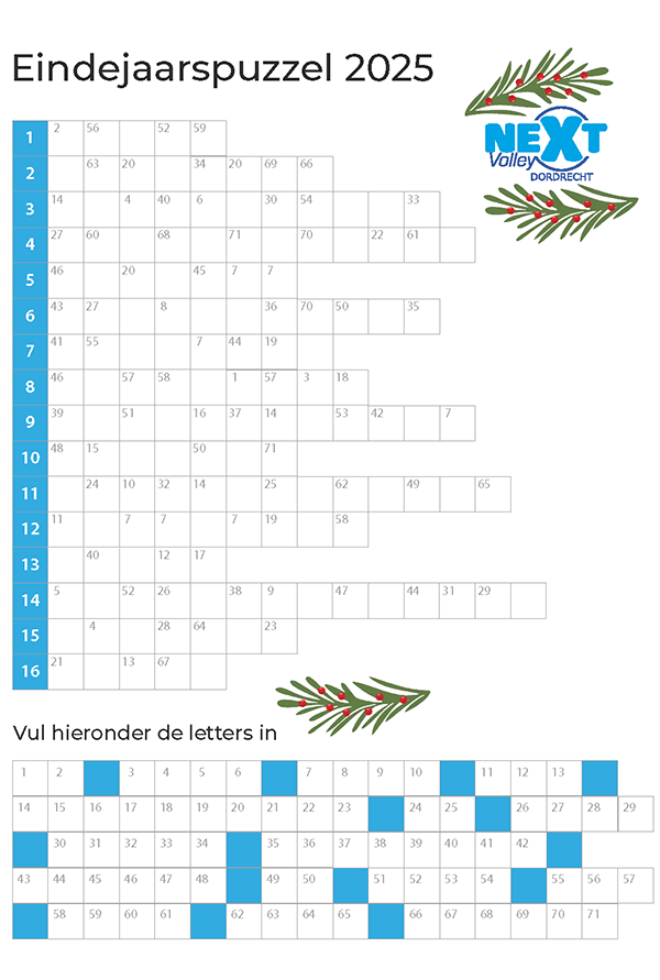2092_eindejaarspuzzel_2025_600px.png